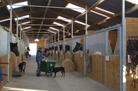 Un barn de 20 boxes
